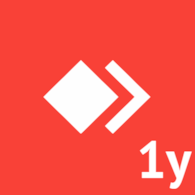AnyDesk, Solo 1y/ 1rok